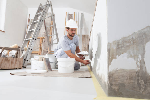 Best Post-Remediation Verification Testing  in Colmar Manor, MD