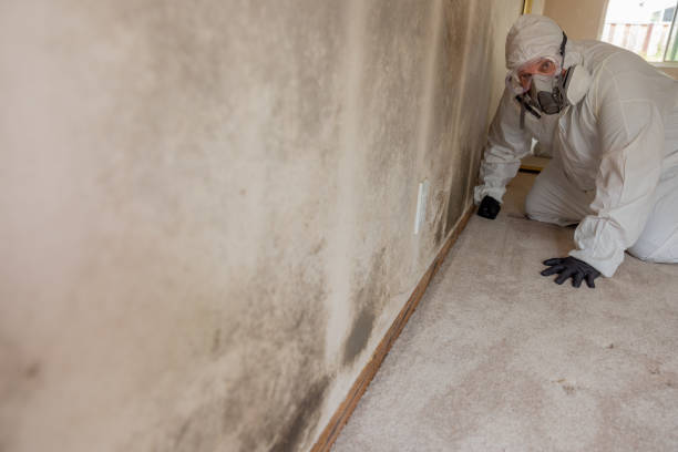Best Asbestos and Lead Testing During Mold Inspection  in Colmar Manor, MD